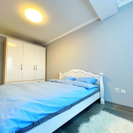 צ'יסינאו Luxury Central Flat מראה חיצוני תמונה